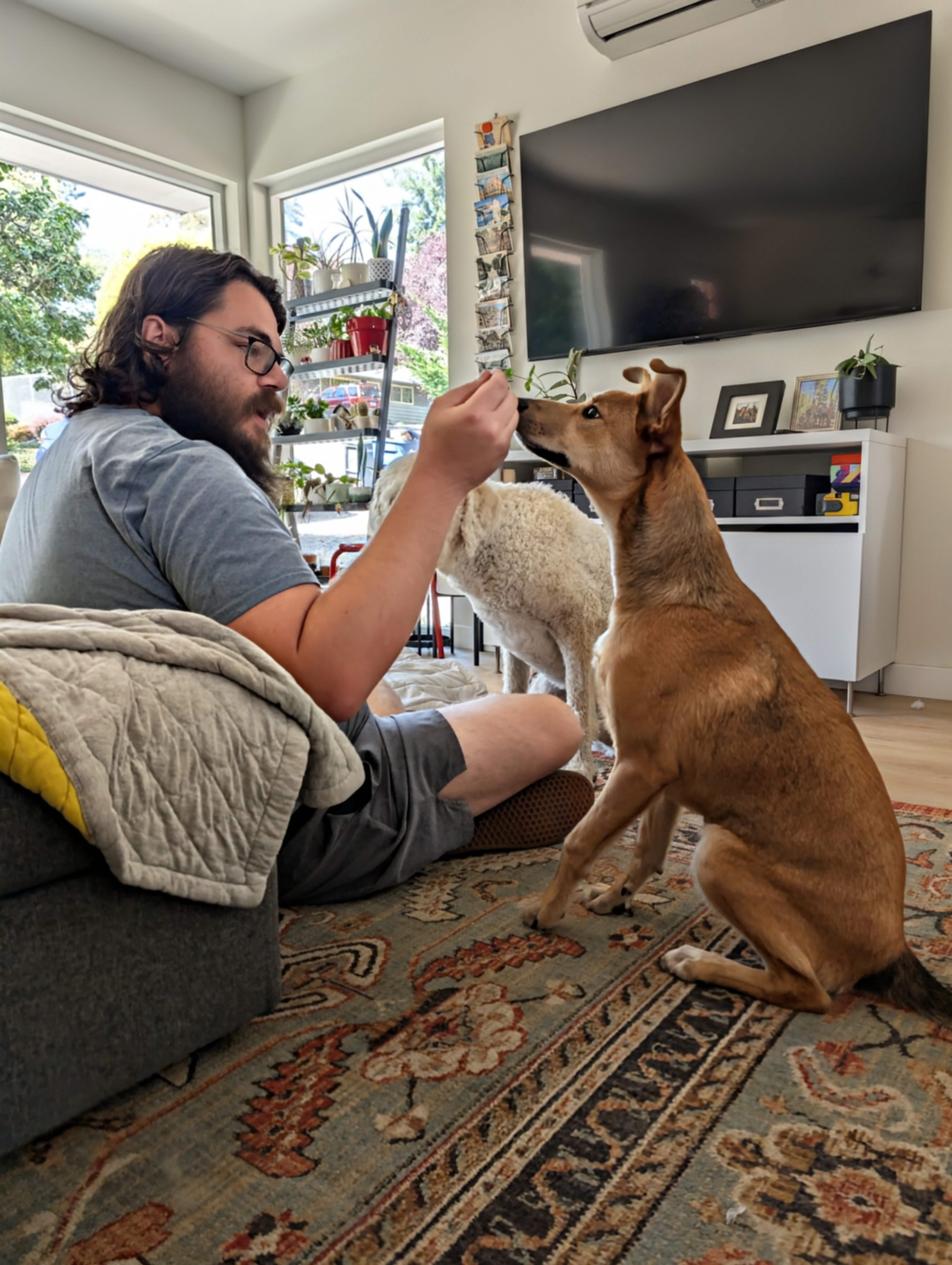 Adam playing with a puppy
