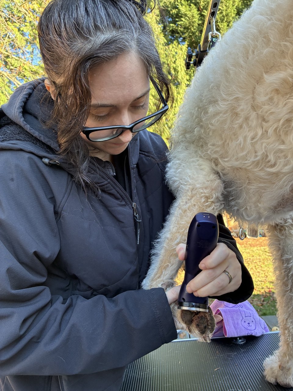 Kacie grooming a dog's paw pad